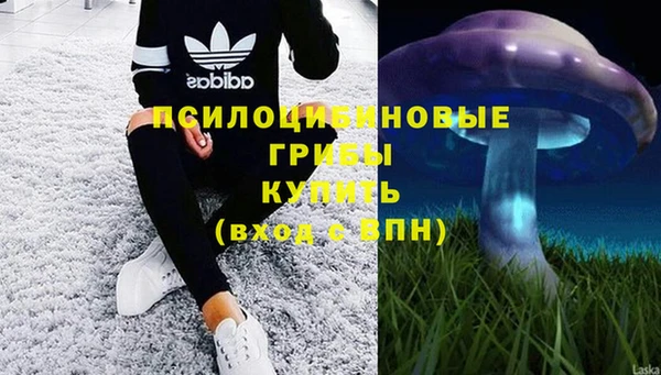 MESCALINE Аркадак