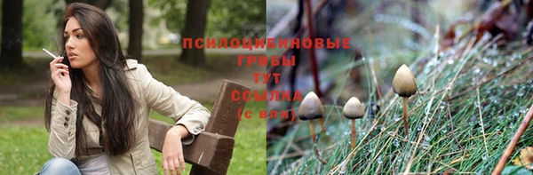 спиды Арсеньев