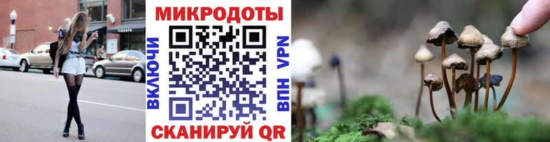 цена   Родники  Галлюциногенные грибы мицелий 